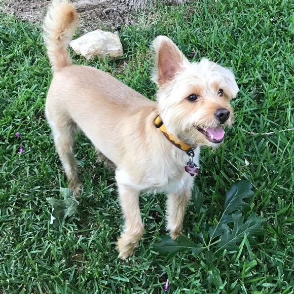 Meet your Posher, Julie - Picture 8 of 8